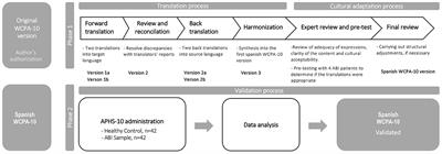 Translation, cross-cultural adaptation and validation of the 10-item Weekly Calendar Planning Activity in Spanish-speaking ABI patients: a multicenter study